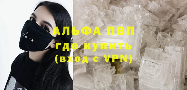 индика Богданович