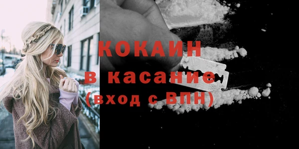 шишки Богородск
