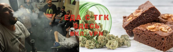 индика Богданович