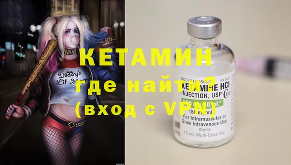индика Богданович