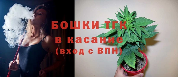 шишки Богородск