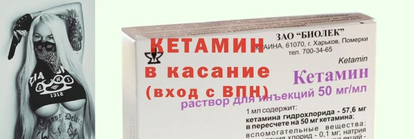 шишки Богородск