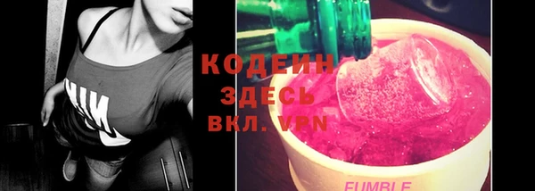 индика Богданович