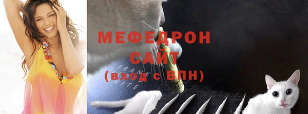 индика Богданович