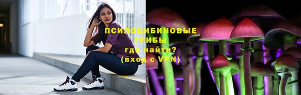MDMA Богородицк