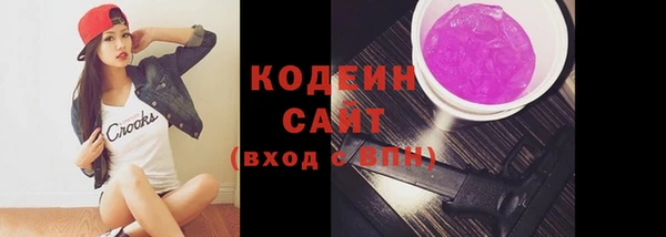 индика Богданович