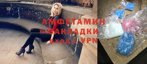 индика Богданович