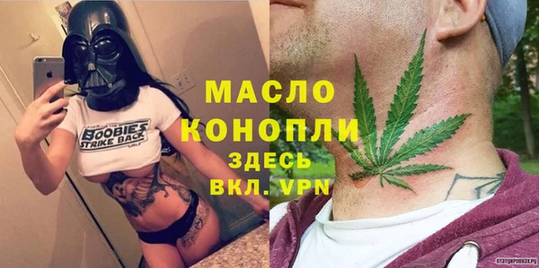 индика Богданович