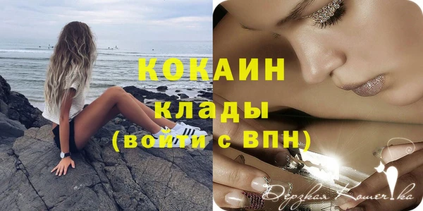 шишки Богородск