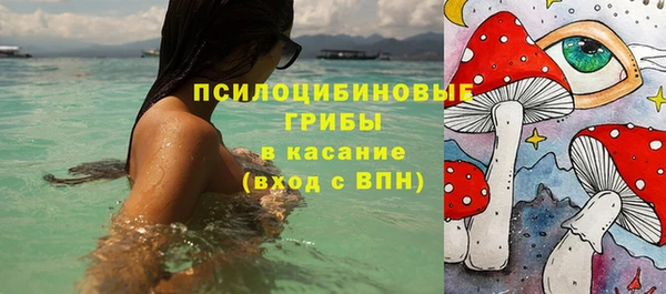 индика Богданович