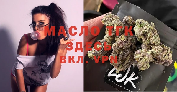 индика Богданович
