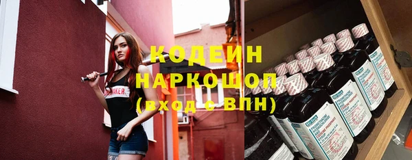 шишки Богородск