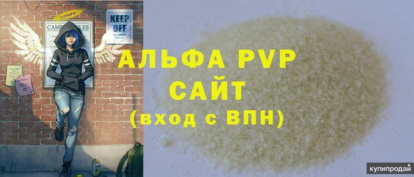 индика Богданович